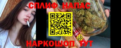 гидропоника Нарткала