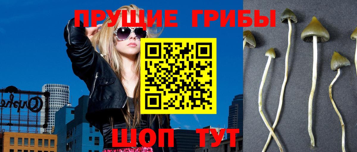 закладка  Галлюциногенные грибы Cubensis  Вход с VPN  Галлюциногенные грибы мицелий  Славянск-на-Кубани 